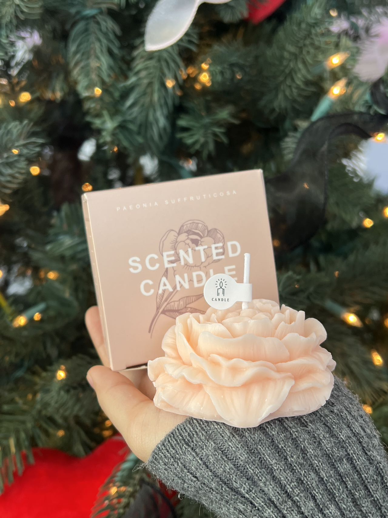 LL-X Decor Candle (multiple options)