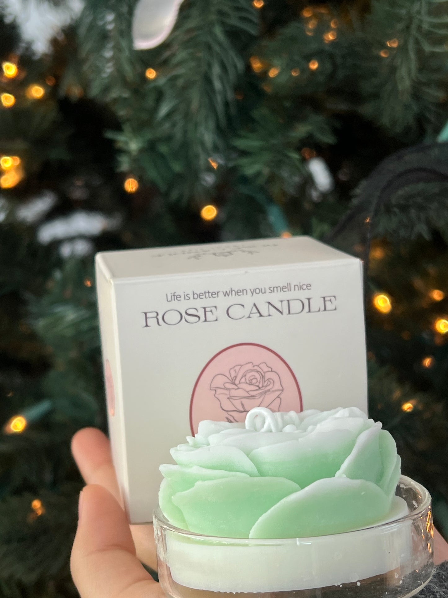 LL-X Decor Candle (multiple options)