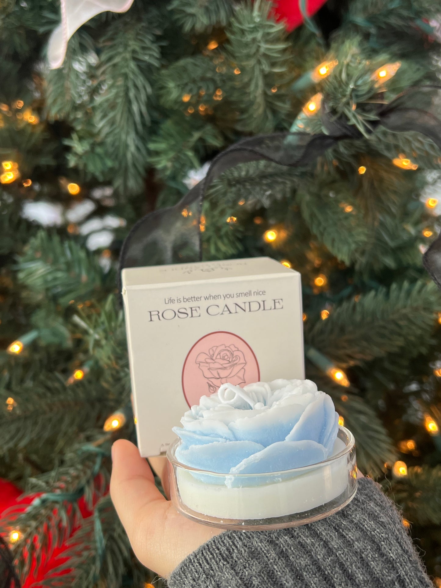 LL-X Decor Candle (multiple options)