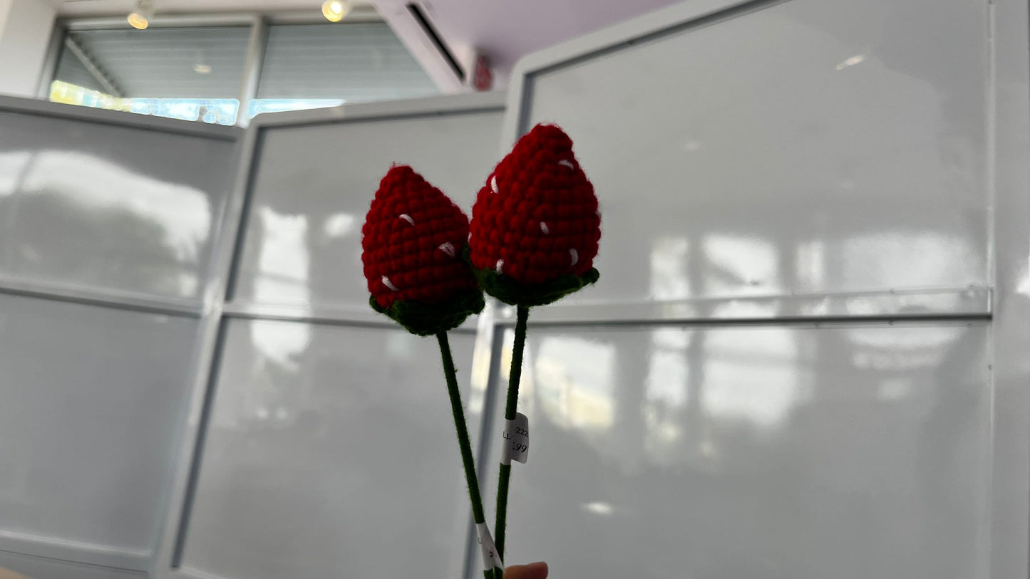 Handmade Crochet Flowers – Assorted Colors & Designs ($9.99)