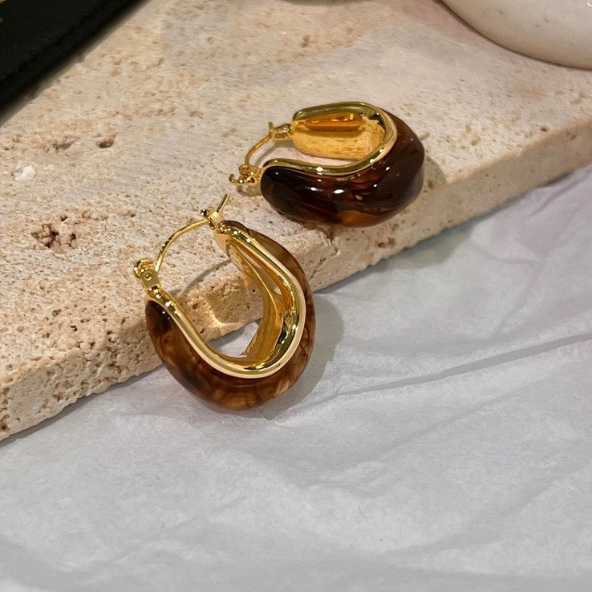 Robo Hunters Earrings