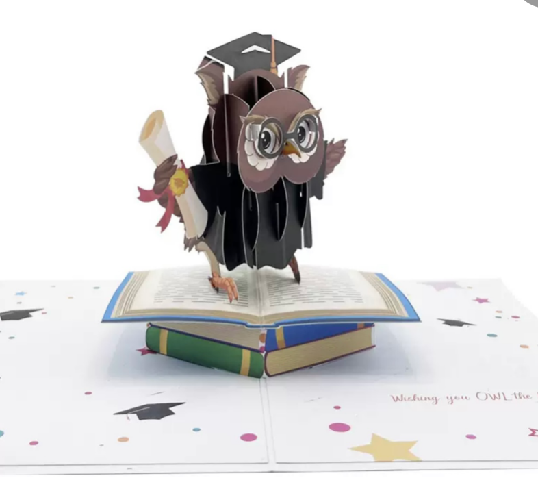 LL-XH Owl Graduation Season Graduation 3D Greeting Card