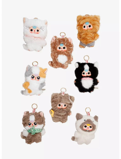 Baby Three - Whose cat am I?