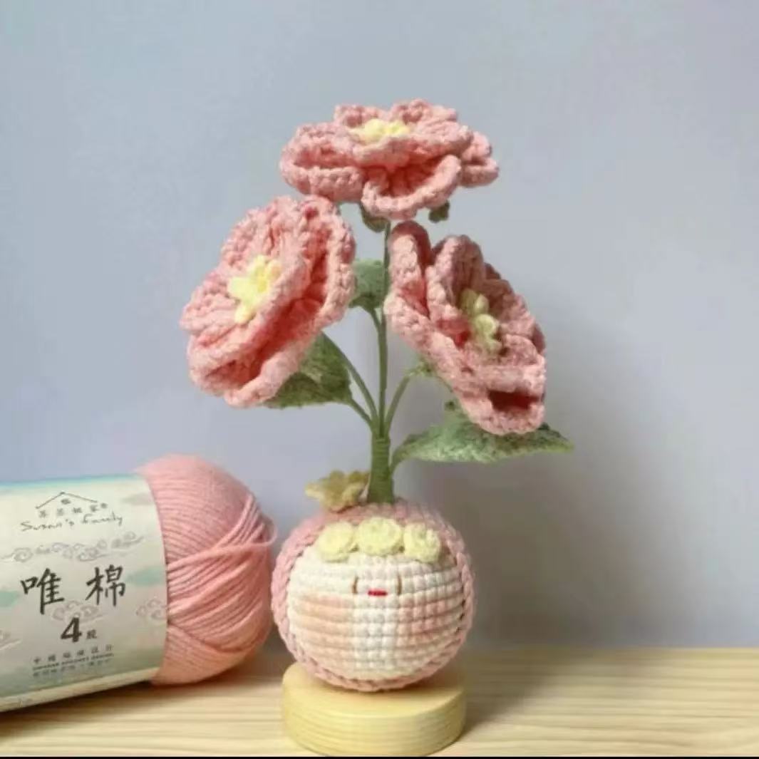 Handmade Crochet Planter-KFA