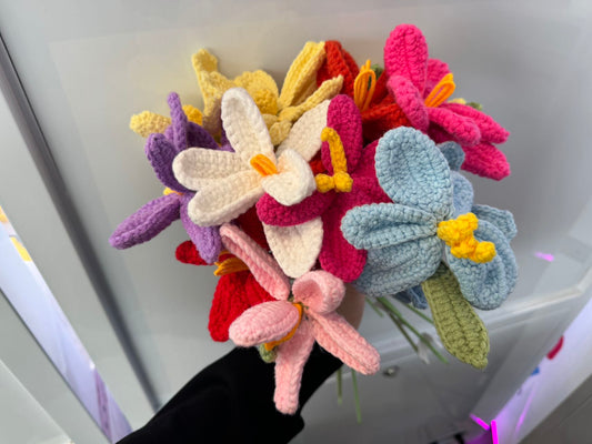 LL-XH Handmade Crochet Flowers $11.99
