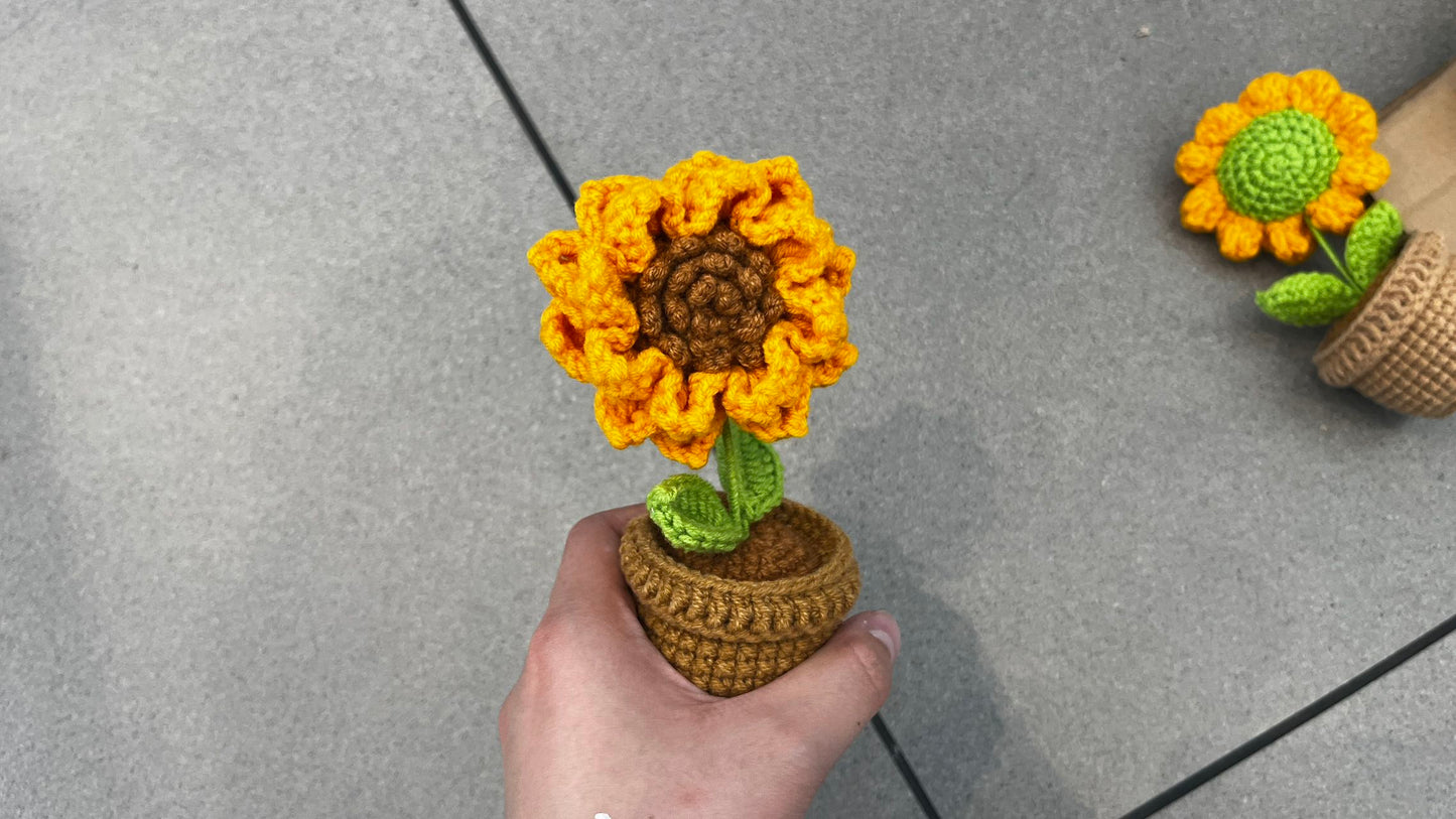 LL-XH Handmade Crochet Planter