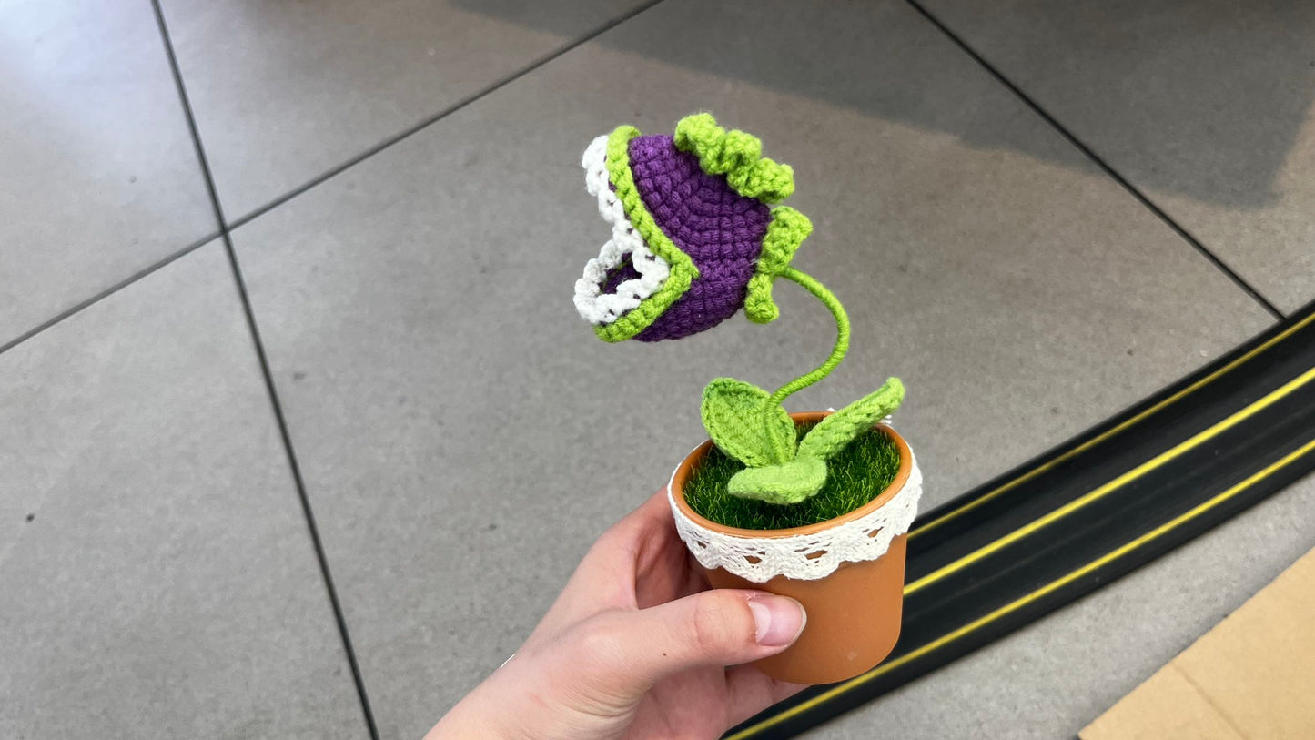 LL-XH Handmade Crochet Planter