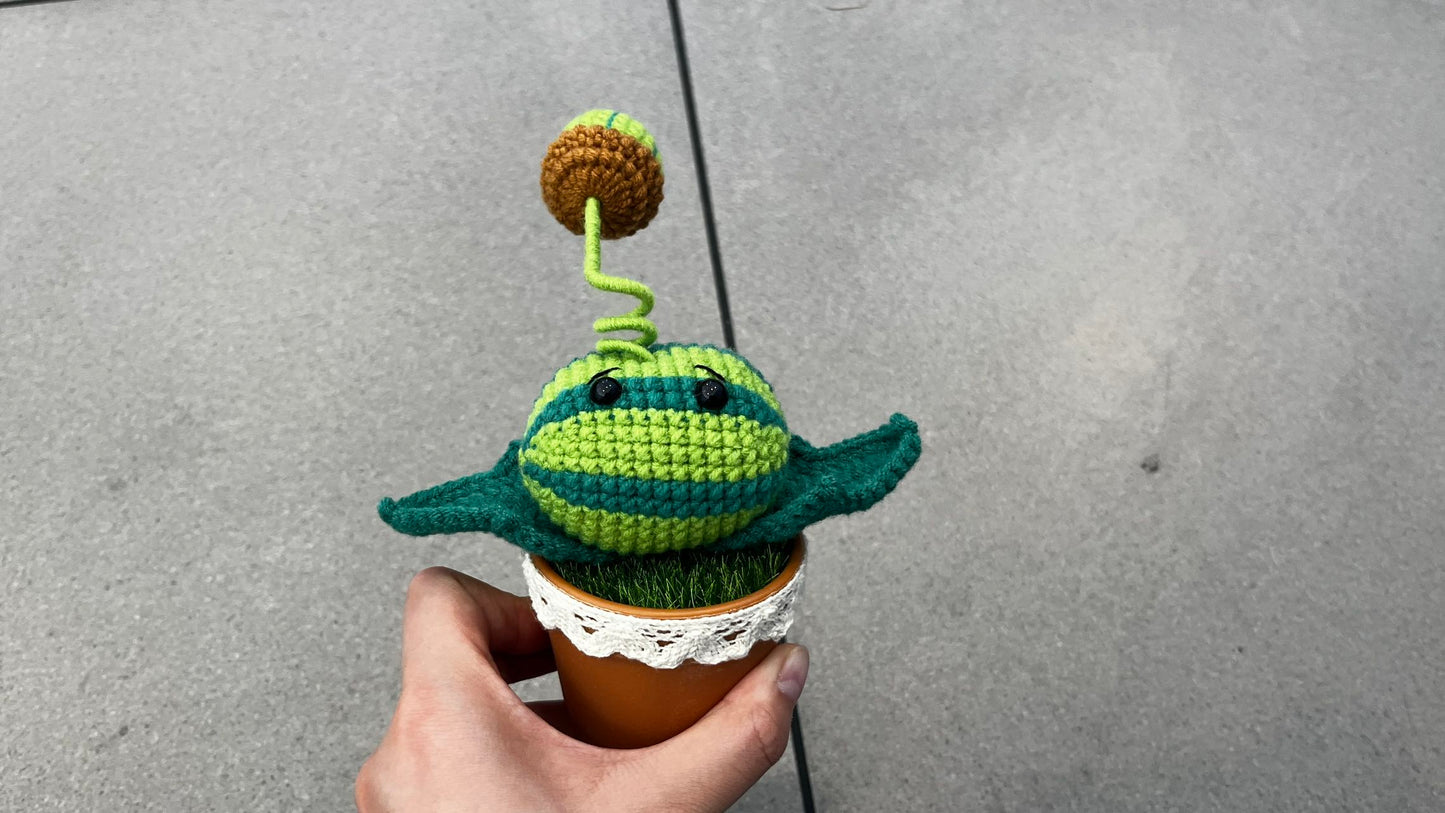 LL-XH Handmade Crochet Planter