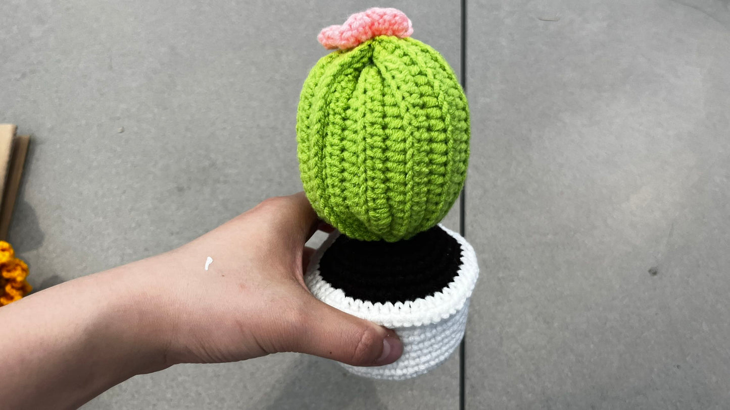 LL-XH Handmade Crochet Planter