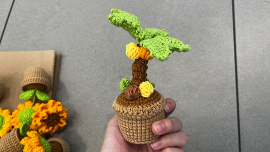 LL-XH Handmade Crochet Planter