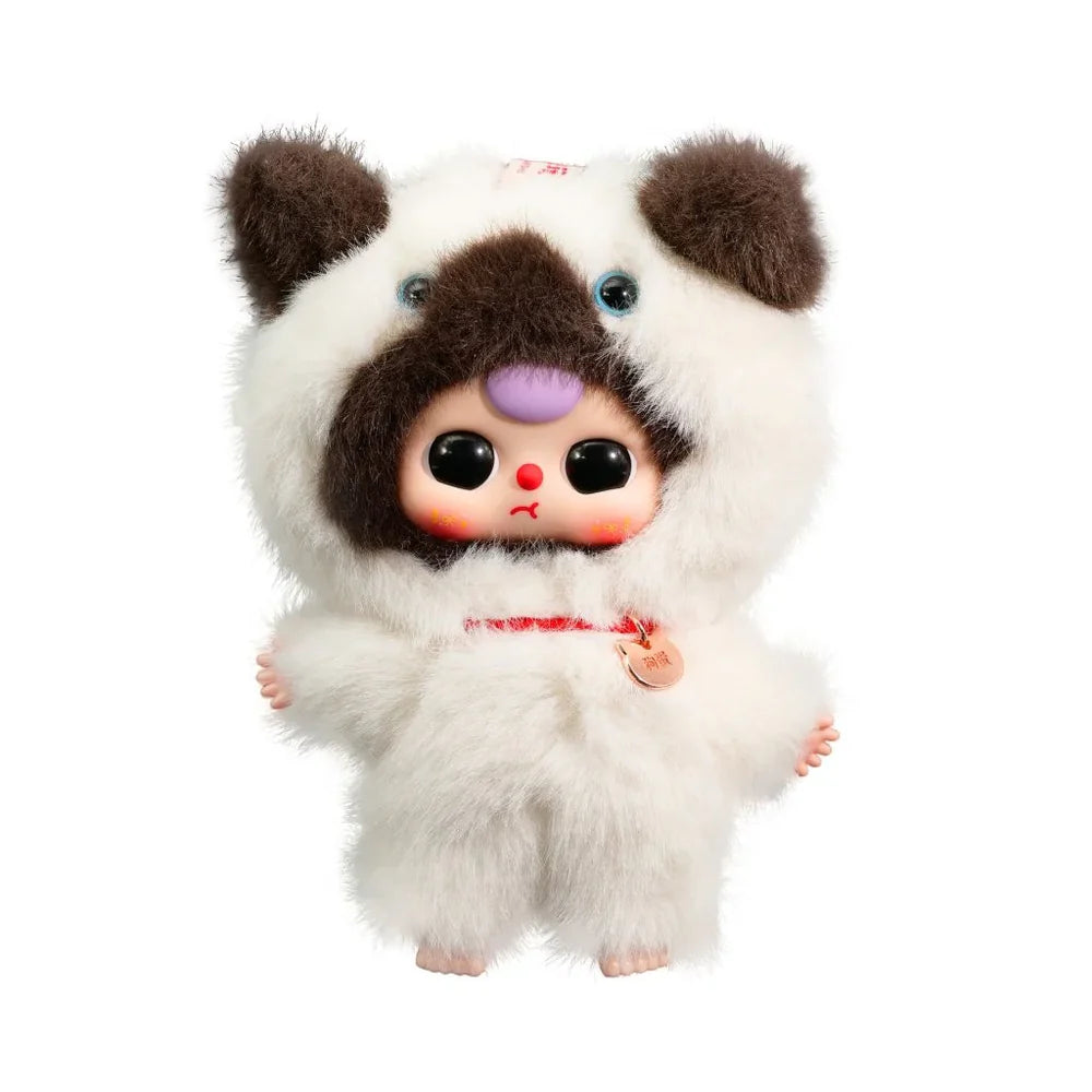 Baby Three - Whose cat am I?