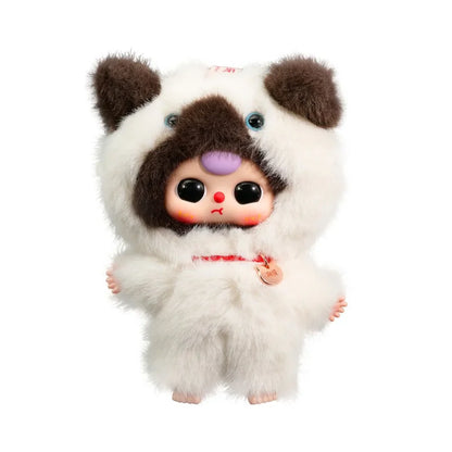 Baby Three - Whose cat am I?