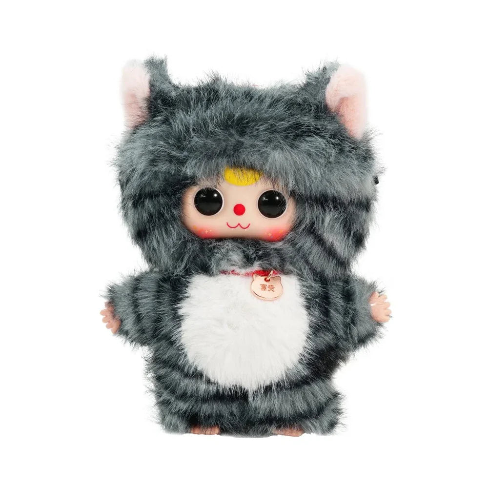 Baby Three - Whose cat am I?