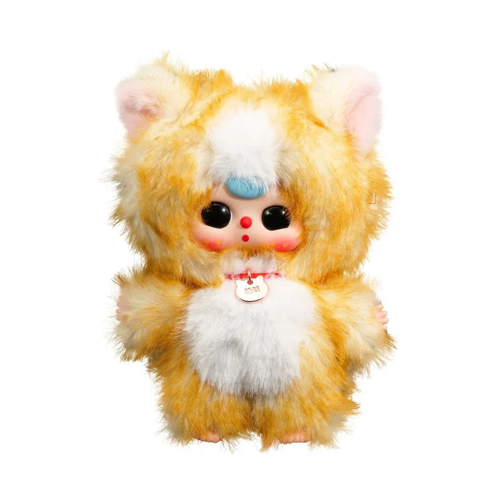 Baby Three - Whose cat am I?