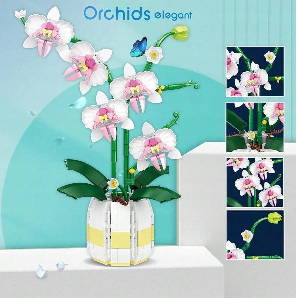 Weili Orchids elegant