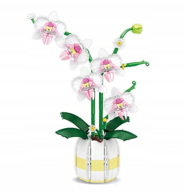 Weili Orchids elegant