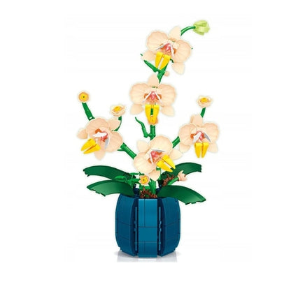 Weili Orchids elegant