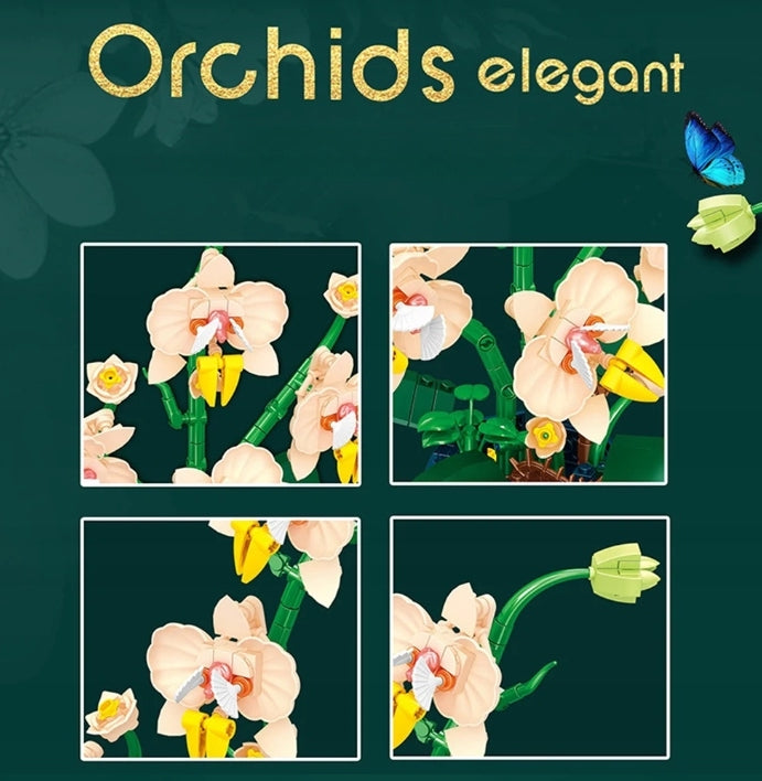 Weili Orchids elegant