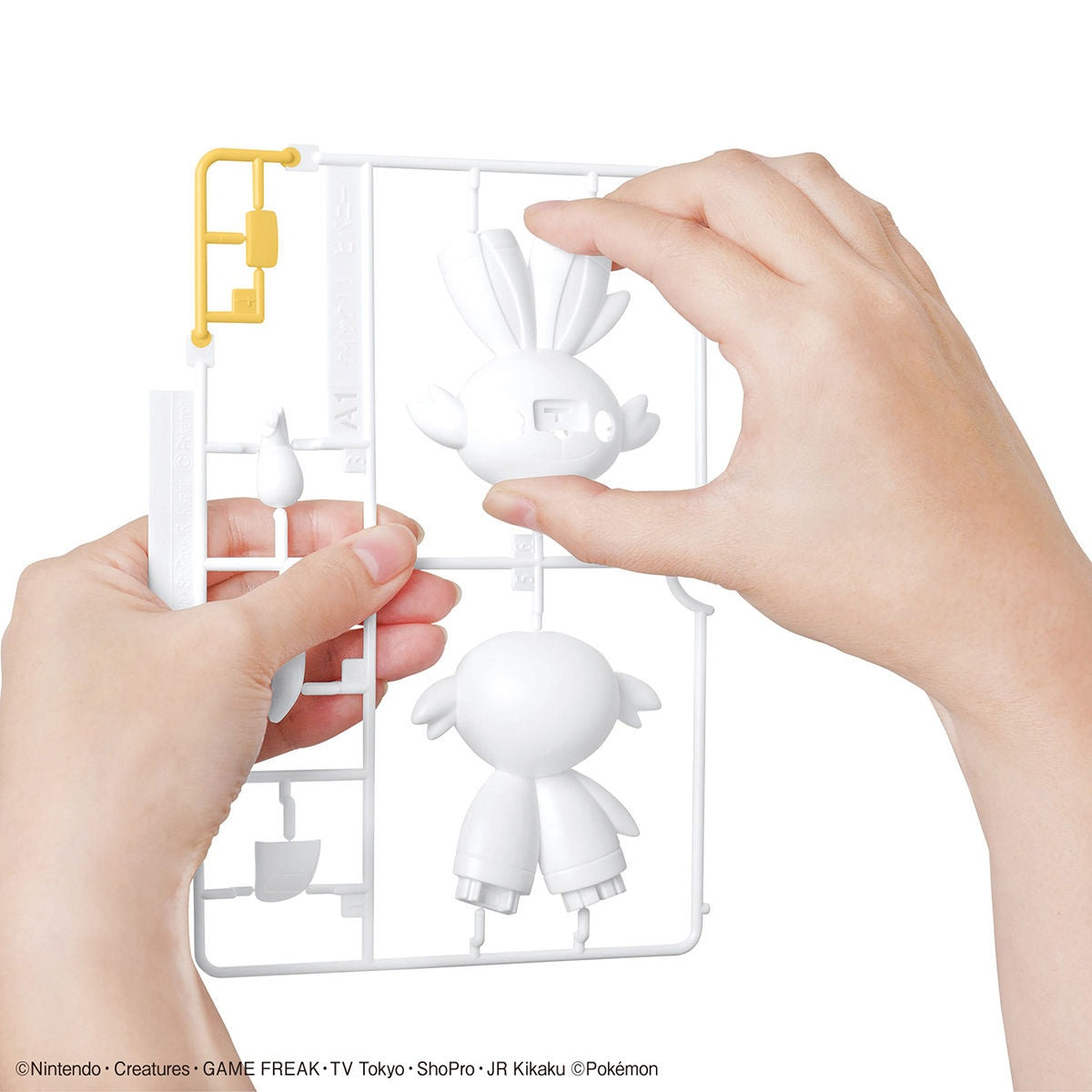 Pokemon Plastic Model Collection Quick!!